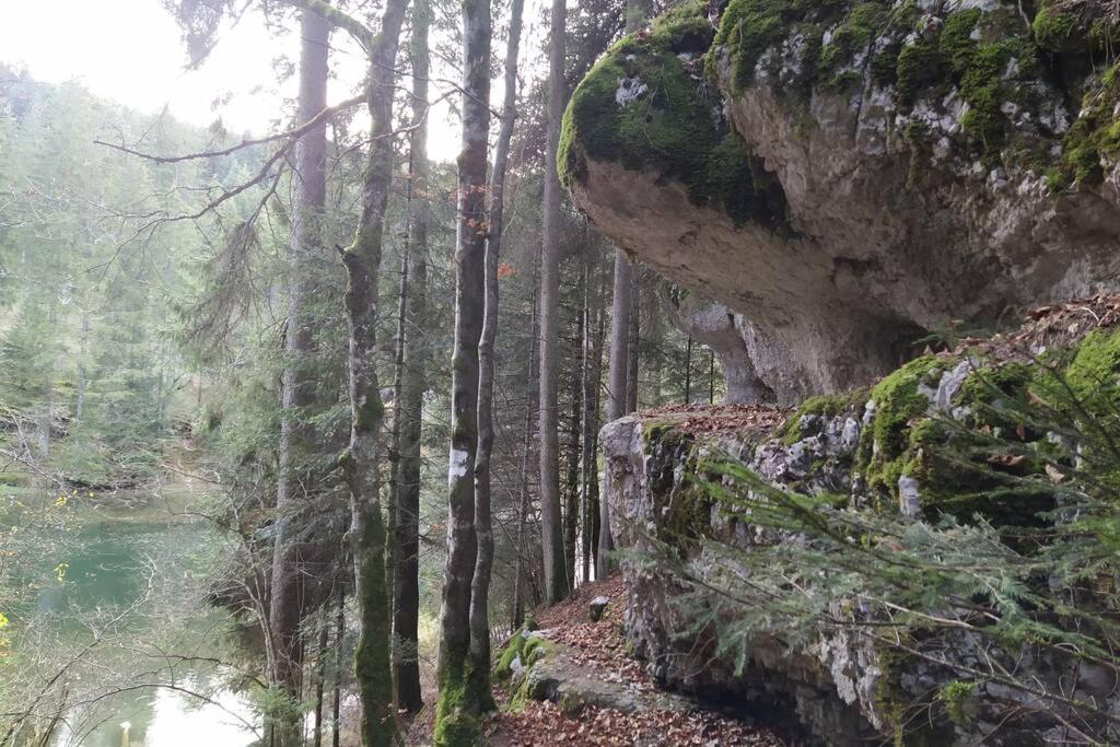 Gite Du Fourperet-Parc Naturel Du Haut-Jura Longevilles-Mont-d'Or Luaran gambar